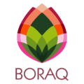 Boraq